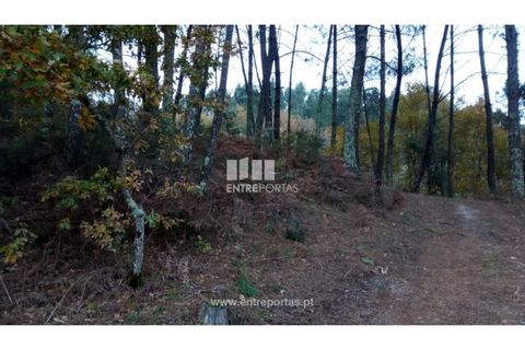 Helårsgrund i Gondomar, Porto, Gondomar - € 100.000 | Ref: MC09103 - foto 13