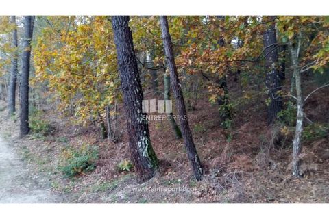 Helårsgrund i Gondomar, Porto, Gondomar - € 100.000 | Ref: MC09103 - foto 14