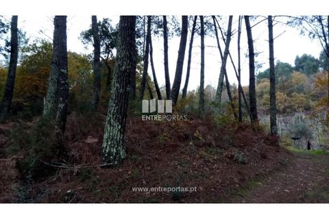 Helårsgrund i Gondomar, Porto, Gondomar - € 100.000 | Ref: MC09103 - foto 15