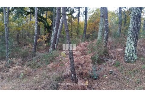 Helårsgrund i Gondomar, Porto, Gondomar - € 100.000 | Ref: MC09103 - foto 16