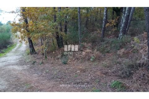 Helårsgrund i Gondomar, Porto, Gondomar - € 100.000 | Ref: MC09103 - foto 17
