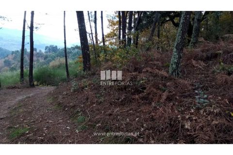 Helårsgrund i Gondomar, Porto, Gondomar - € 100.000 | Ref: MC09103 - foto 18