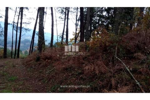 Helårsgrund i Gondomar, Porto, Gondomar - € 100.000 | Ref: MC09103 - foto 19