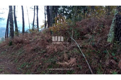 Helårsgrund i Gondomar, Porto, Gondomar - € 100.000 | Ref: MC09103 - foto 20