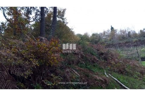 Helårsgrund i Gondomar, Porto, Gondomar - € 100.000 | Ref: MC09103 - foto 21