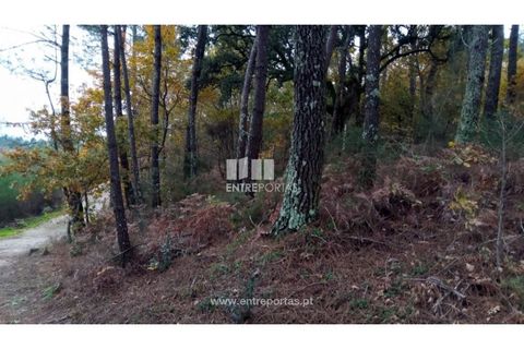 Helårsgrund i Gondomar, Porto, Gondomar - € 100.000 | Ref: MC09103 - foto 22