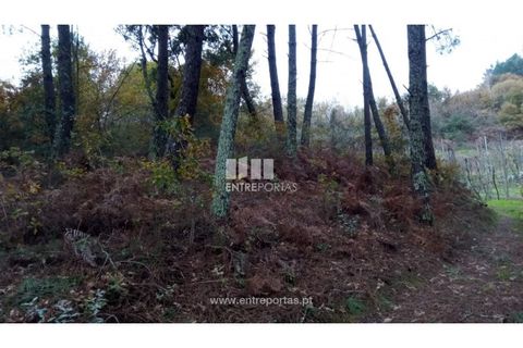 Helårsgrund i Gondomar, Porto, Gondomar - € 100.000 | Ref: MC09103 - foto 23