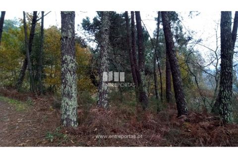 Helårsgrund i Gondomar, Porto, Gondomar - € 100.000 | Ref: MC09103 - foto 24