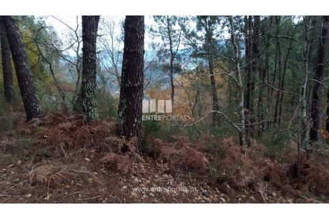 Helårsgrund i Gondomar, Porto, Gondomar - € 100.000 | Ref: MC09103 - foto 25