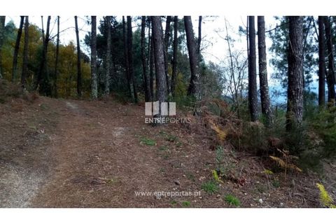 Helårsgrund i Gondomar, Porto, Gondomar - € 100.000 | Ref: MC09103 - foto 26