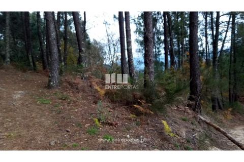 Helårsgrund i Gondomar, Porto, Gondomar - € 100.000 | Ref: MC09103 - foto 27