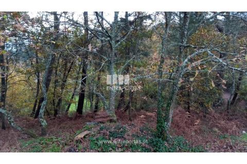 Helårsgrund i Gondomar, Porto, Gondomar - € 100.000 | Ref: MC09103 - foto 28