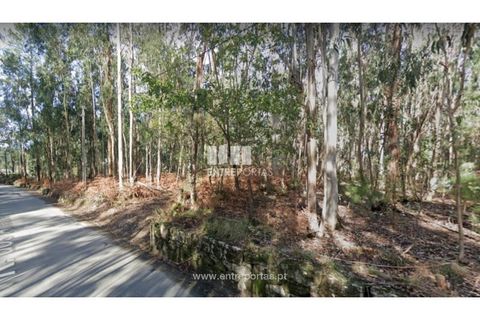 Terra a Remelhe, Braga, Remelhe - € 190.000 | Ref: PV09680 - foto 2