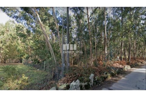 Terra a Remelhe, Braga, Remelhe - € 190.000 | Ref: PV09680 - foto 3