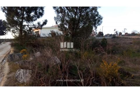 Helårsgrund i Amarante, Porto, Amarante - € 68.500 | Ref: MC09117 - foto 6