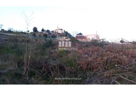 Helårsgrund i Amarante, Porto, Amarante - € 68.500 | Ref: MC09117 - foto 7