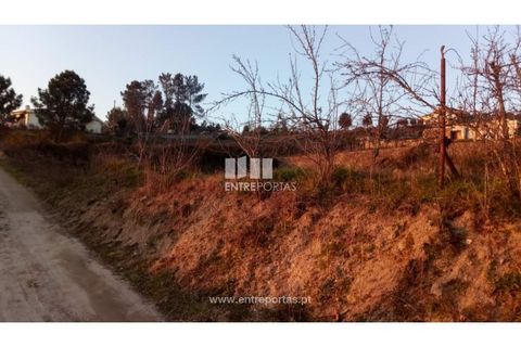 Helårsgrund i Amarante, Porto, Amarante - € 68.500 | Ref: MC09117 - foto 13