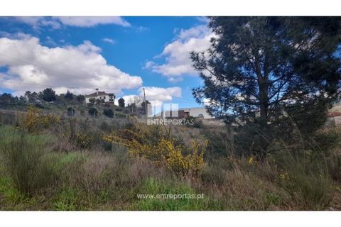 Helårsgrund i Amarante, Porto, Amarante - € 68.500 | Ref: MC09117 - foto 23