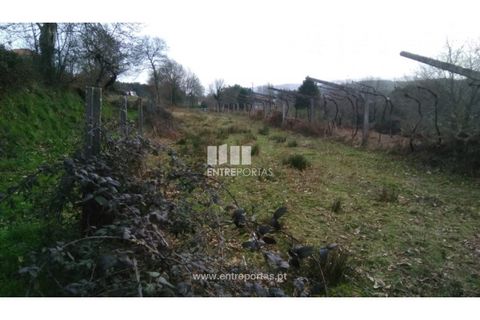 Helårsgrund i Candemil e Gondar, Viana do Castelo, Candemil e Gondar - € 75.000 | Ref: C02247 - foto 1