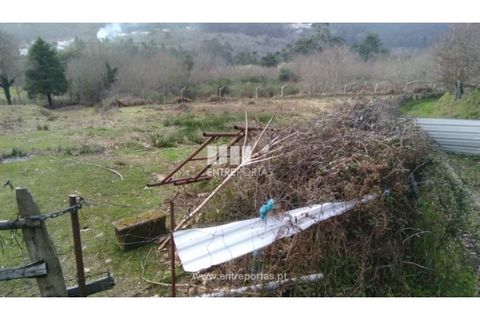 Helårsgrund i Candemil e Gondar, Viana do Castelo, Candemil e Gondar - € 75.000 | Ref: C02247 - foto 4