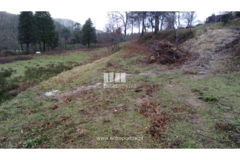Helårsgrund i Candemil e Gondar, Viana do Castelo, Candemil e Gondar - € 75.000 | Ref: C02247 - foto 5