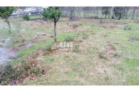 Helårsgrund i Candemil e Gondar, Viana do Castelo, Candemil e Gondar - € 75.000 | Ref: C02247 - foto 7