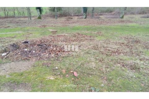 Helårsgrund i Candemil e Gondar, Viana do Castelo, Candemil e Gondar - € 75.000 | Ref: C02247 - foto 8