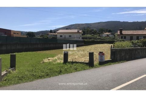 Tomt i Venade e Azevedo, Viana do Castelo, Venade e Azevedo - € 55 000 | Ref: C02285 - foto 3