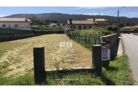 Tomt i Venade e Azevedo, Viana do Castelo, Venade e Azevedo - € 55 000 | Ref: C02285 - foto 4