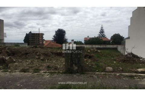 Terra a Areosa, Viana do Castelo, Areosa - € 110.000 | Ref: VCM13304 - foto 13