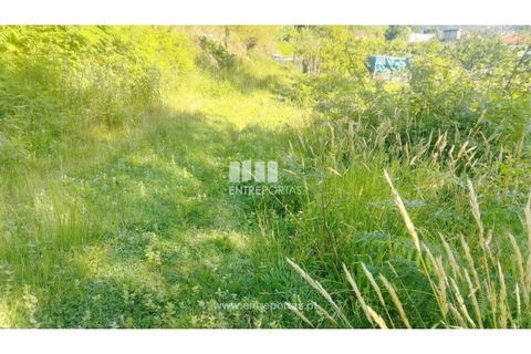 Terra a Cinfaes, Viseu, Cinfaes - € 27.000 | Ref: MC09181 - foto 3