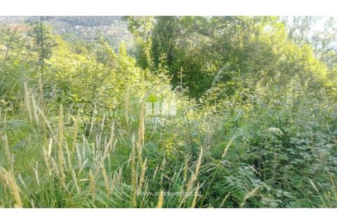 Terra a Cinfaes, Viseu, Cinfaes - € 27.000 | Ref: MC09181 - foto 4
