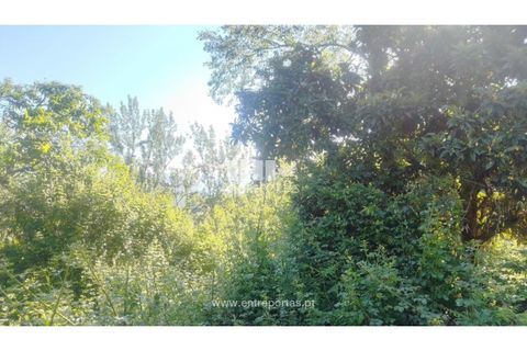Terra a Cinfaes, Viseu, Cinfaes - € 27.000 | Ref: MC09181 - foto 5