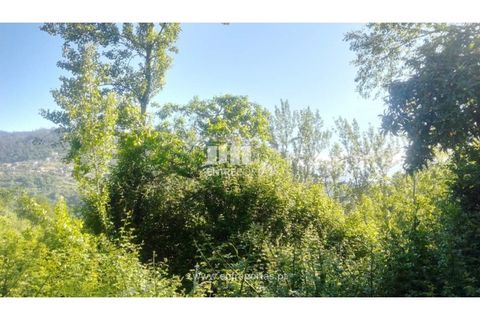 Terra a Cinfaes, Viseu, Cinfaes - € 27.000 | Ref: MC09181 - foto 6