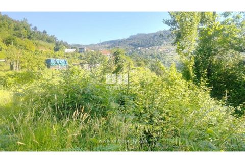 Terra a Cinfaes, Viseu, Cinfaes - € 27.000 | Ref: MC09181 - foto 7