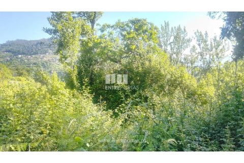 Terra a Cinfaes, Viseu, Cinfaes - € 27.000 | Ref: MC09181 - foto 8