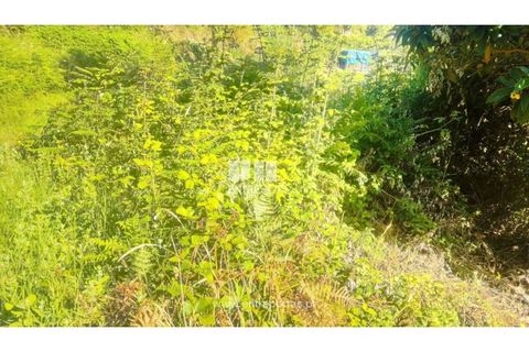 Terra a Cinfaes, Viseu, Cinfaes - € 27.000 | Ref: MC09181 - foto 10