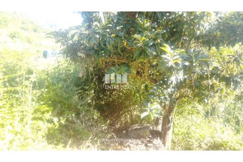 Terra a Cinfaes, Viseu, Cinfaes - € 27.000 | Ref: MC09181 - foto 11