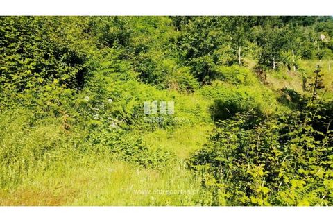 Terra a Cinfaes, Viseu, Cinfaes - € 27.000 | Ref: MC09181 - foto 14