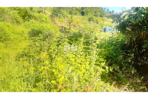 Terra a Cinfaes, Viseu, Cinfaes - € 27.000 | Ref: MC09181 - foto 15