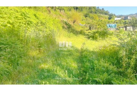 Terra a Cinfaes, Viseu, Cinfaes - € 27.000 | Ref: MC09181 - foto 18