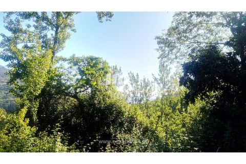 Terra a Cinfaes, Viseu, Cinfaes - € 27.000 | Ref: MC09181 - foto 20