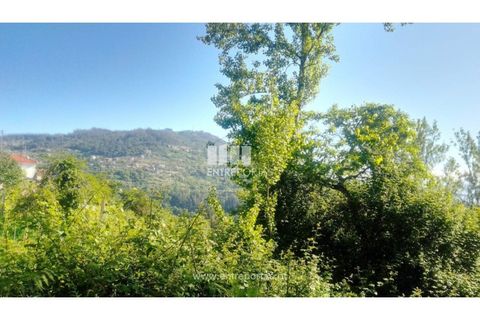 Terra a Cinfaes, Viseu, Cinfaes - € 27.000 | Ref: MC09181 - foto 21