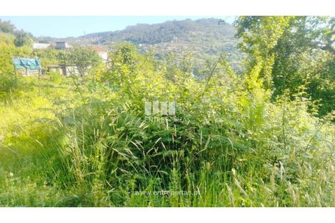 Terra a Cinfaes, Viseu, Cinfaes - € 27.000 | Ref: MC09181 - foto 22