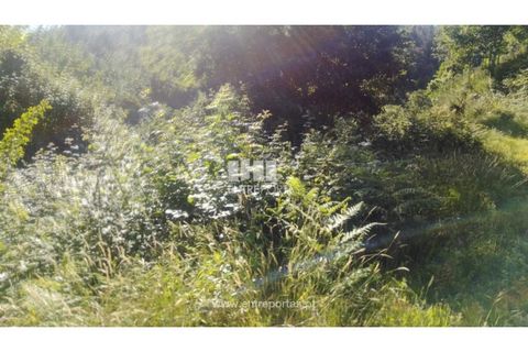 Terra a Cinfaes, Viseu, Cinfaes - € 27.000 | Ref: MC09181 - foto 24