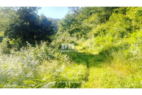 Terra a Cinfaes, Viseu, Cinfaes - € 27.000 | Ref: MC09181 - foto 25