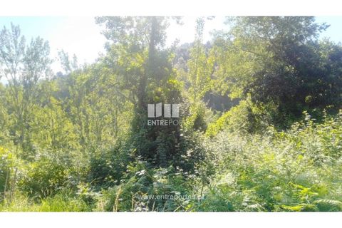 Terra a Cinfaes, Viseu, Cinfaes - € 27.000 | Ref: MC09181 - foto 26