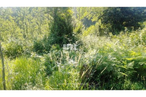 Terra a Cinfaes, Viseu, Cinfaes - € 27.000 | Ref: MC09181 - foto 28