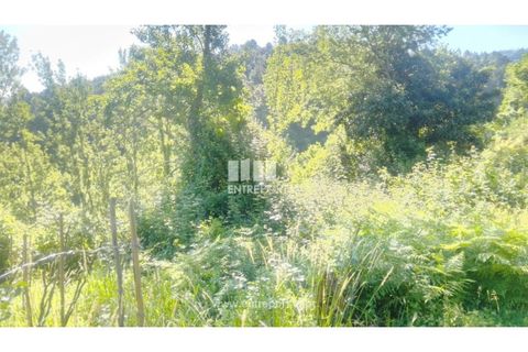 Terra a Cinfaes, Viseu, Cinfaes - € 27.000 | Ref: MC09181 - foto 29