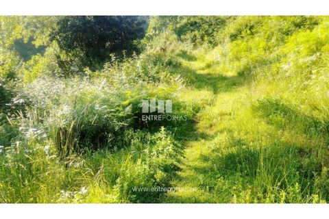 Terra a Cinfaes, Viseu, Cinfaes - € 27.000 | Ref: MC09181 - foto 30